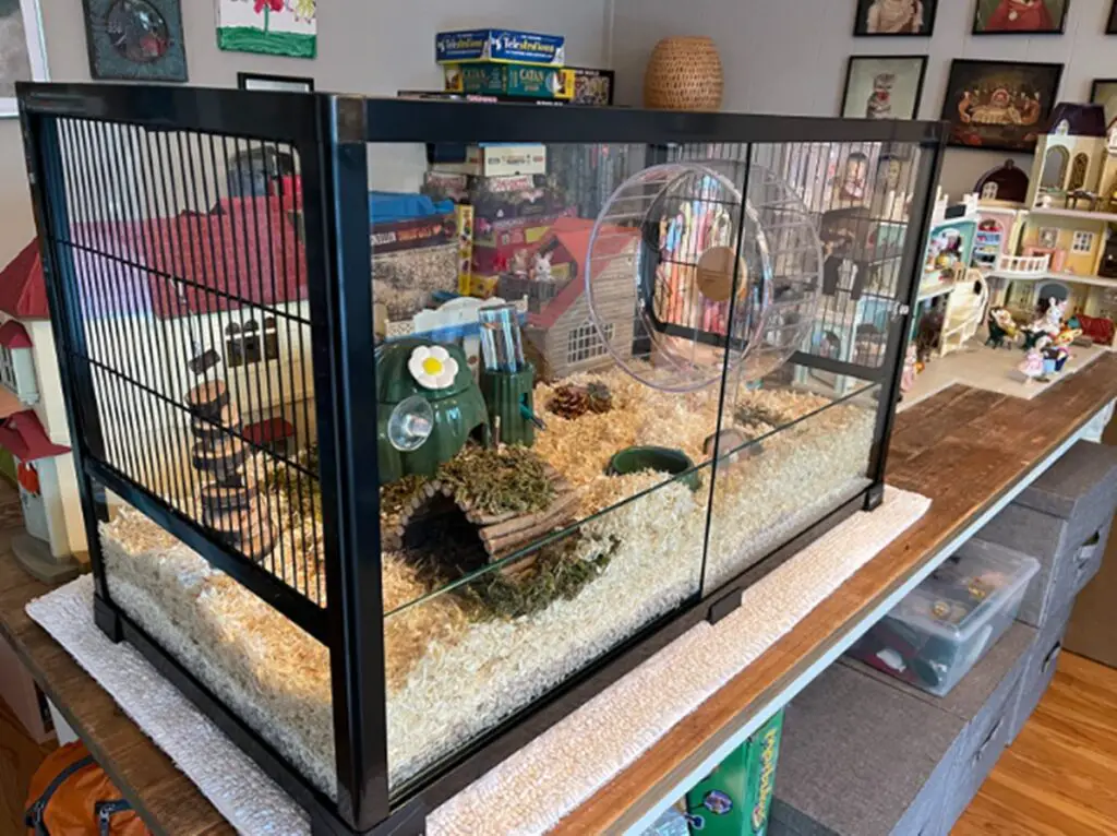 7 Best Aquarium Hamster Cages