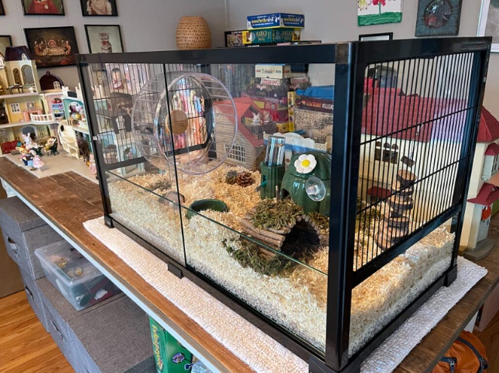 40 Gallon Breeder Tank Hamster | atelier-yuwa.ciao.jp