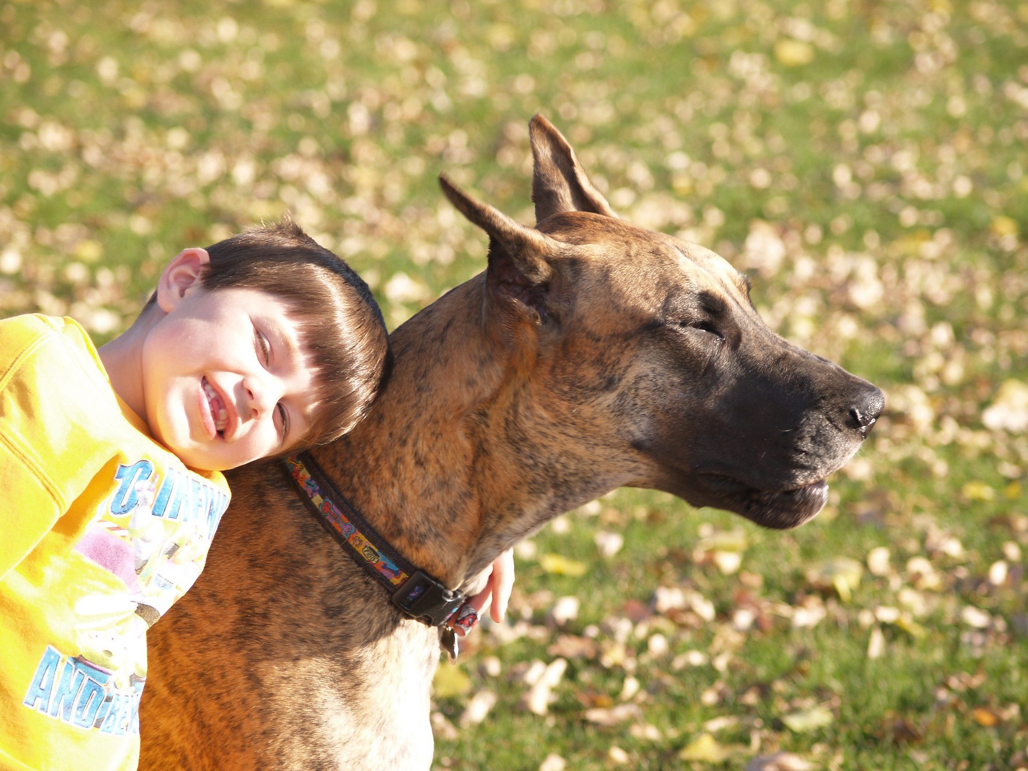 Are Great Danes Good With Kids