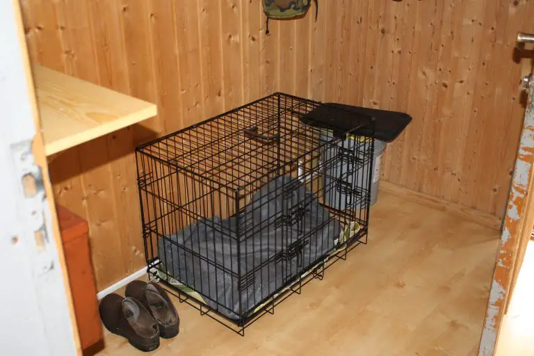 How Long Can a German Shepherd Stay in a Crate? (Explained!)