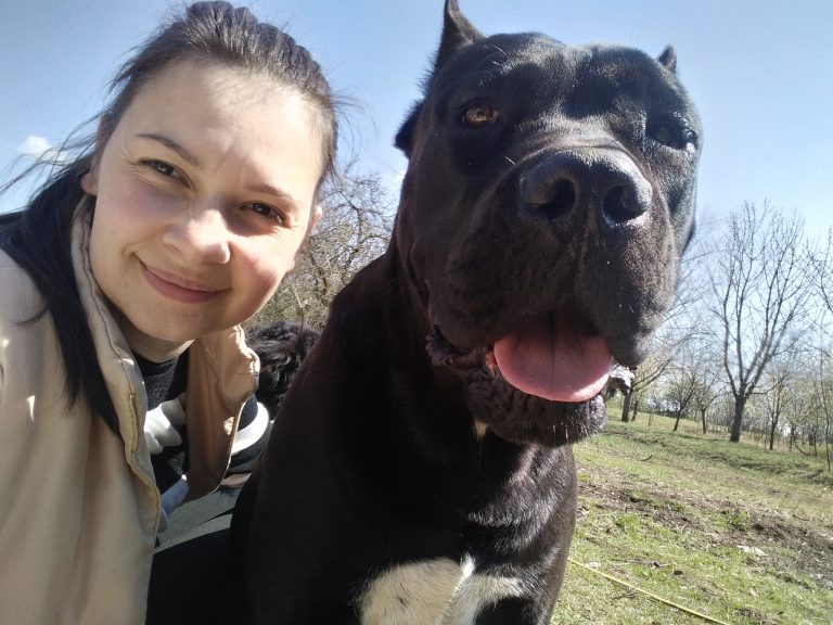 Do Cane Corso Get Attached To One Person? (Answered!)