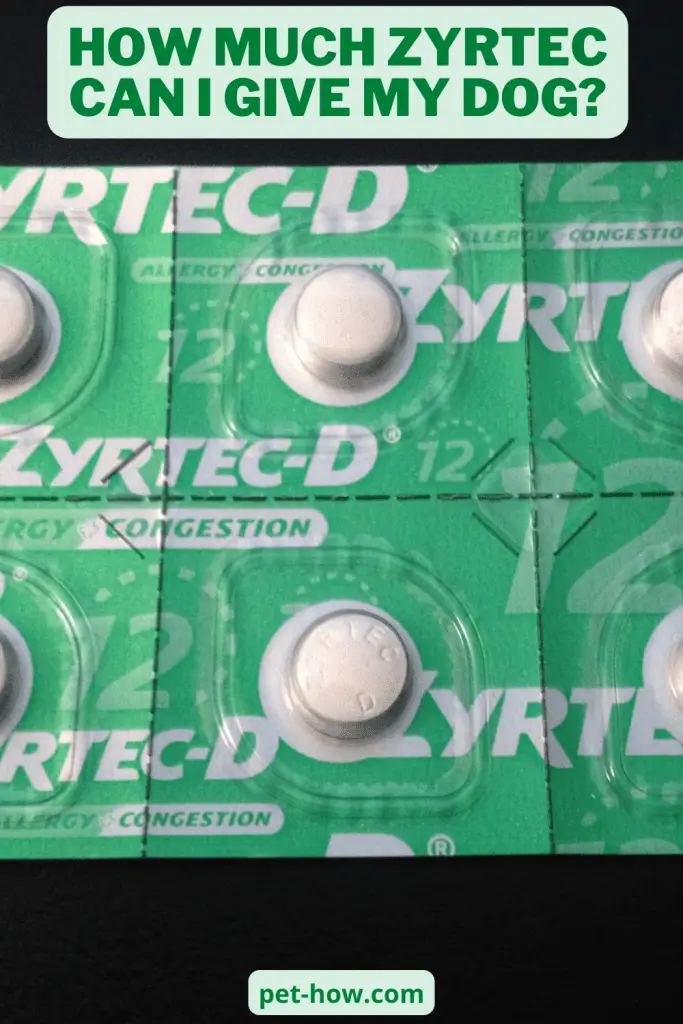 How Much Zyrtec Can I Give My Dog? Dosage for Dogs