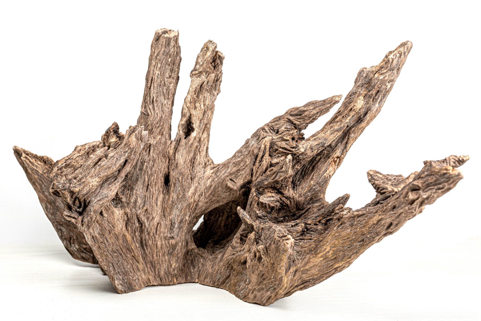 How Long Should You Boil Driftwood To Remove Tannins?