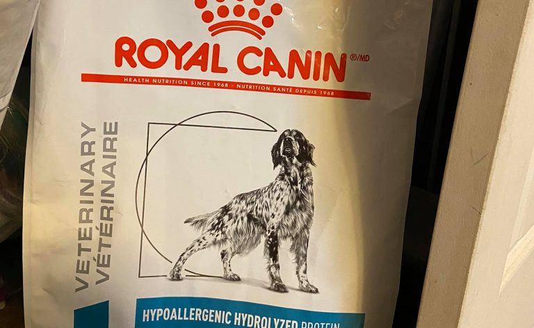 Why Do Vets Recommend Royal Canin? (Answered!)