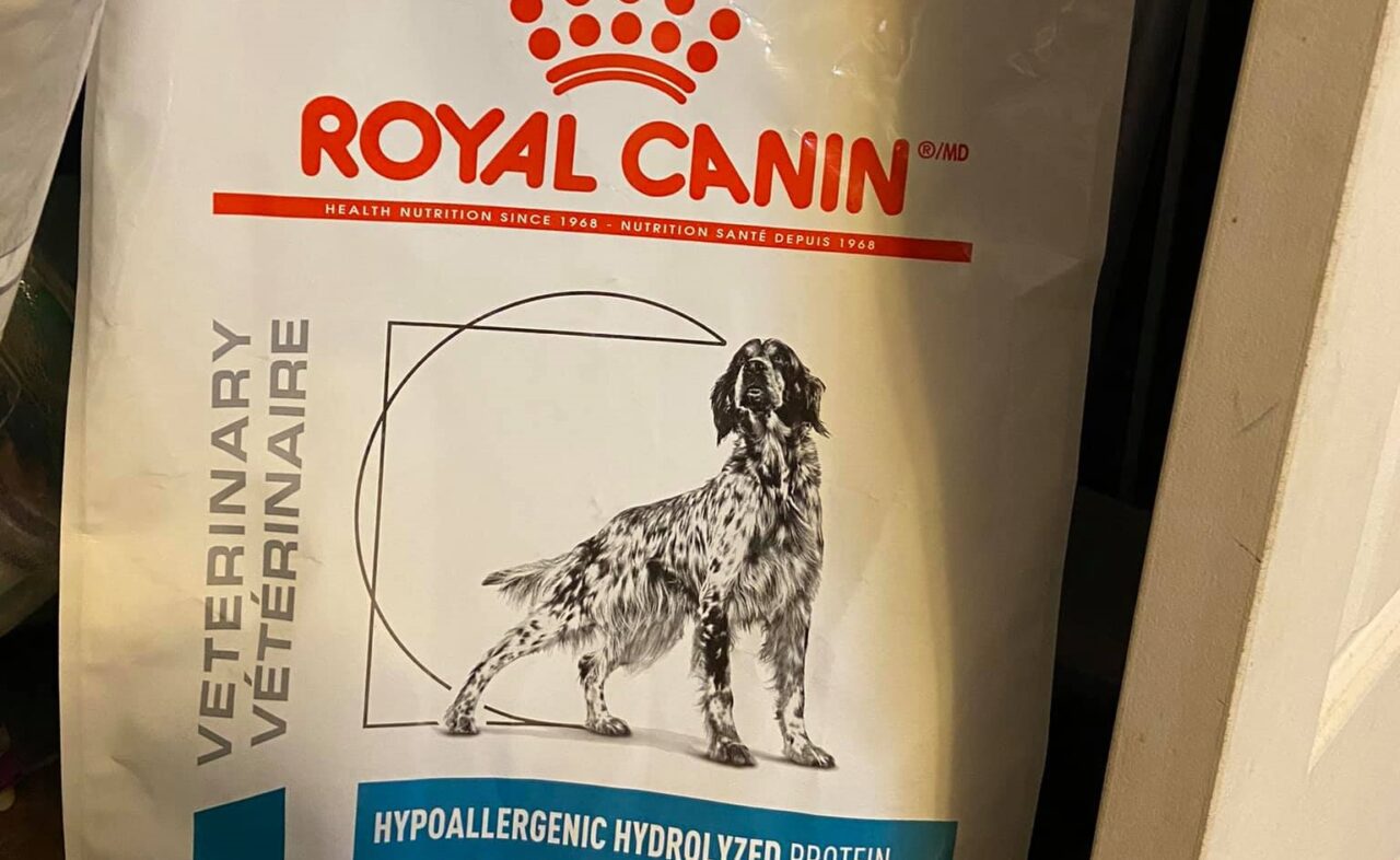 why-do-vets-recommend-royal-canin-answered