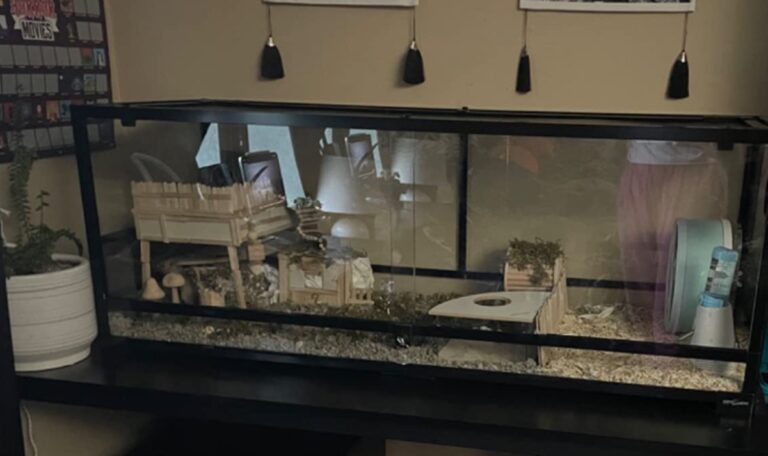 Picture of Top 7 Best Aquarium Hamster Cages