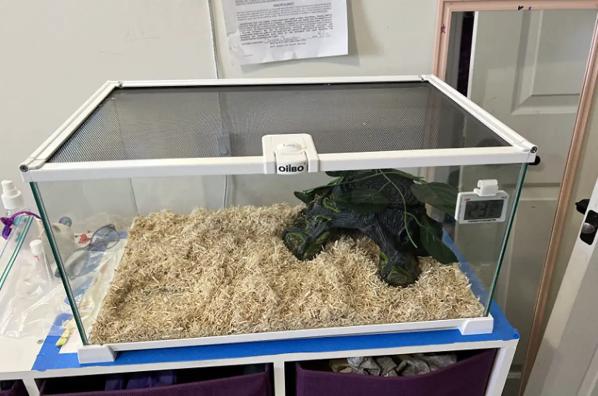 Top 7 Best Aquarium Hamster Cages