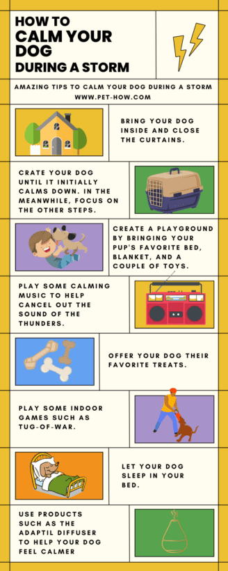 Photo inspiration: 13 Ways To Make Your Dog Feel Safe During A Photo Inspiration