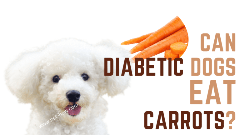 Can Diabetic Dogs Eat Carrots? (Vet Answer!)