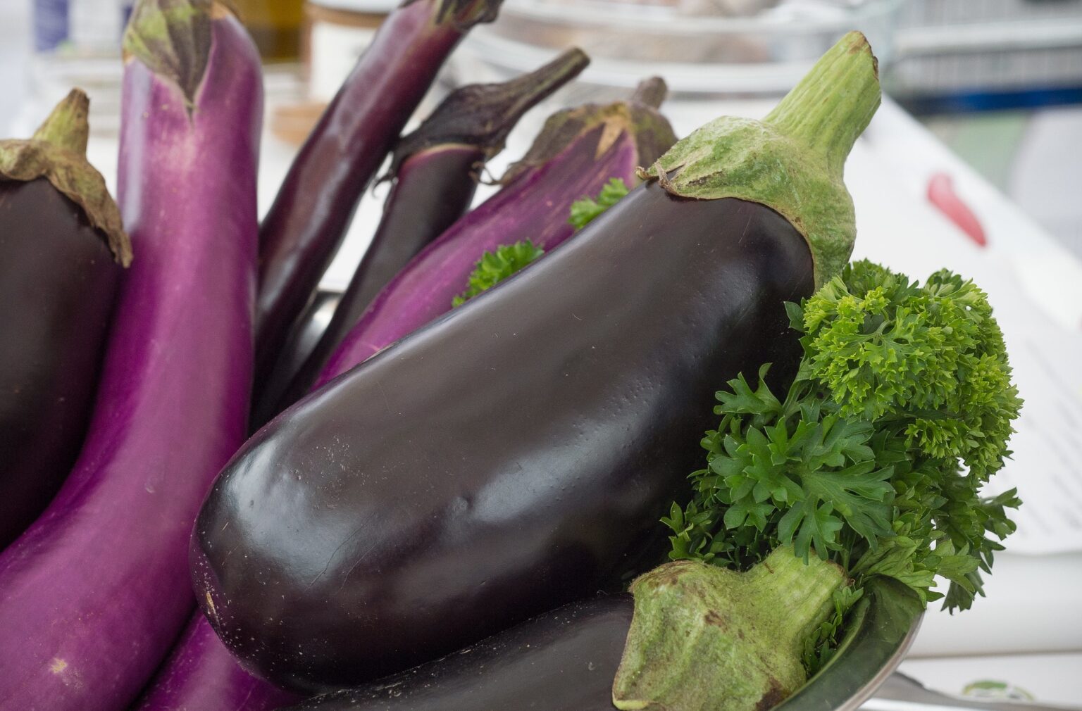 Can Dogs Eat Eggplant Skin? 90 of Dogs Can!