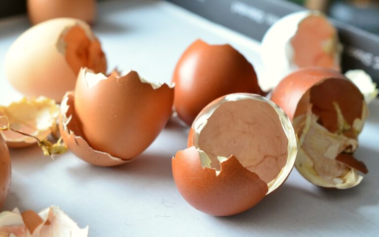 Can Dogs Eat Eggshells? Yes, They Can