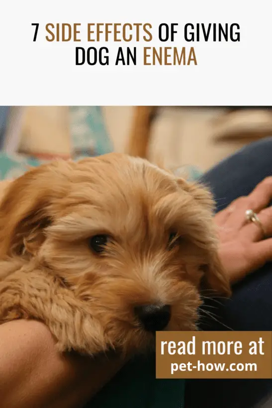 7 Side Effects of Giving Dog an Enema