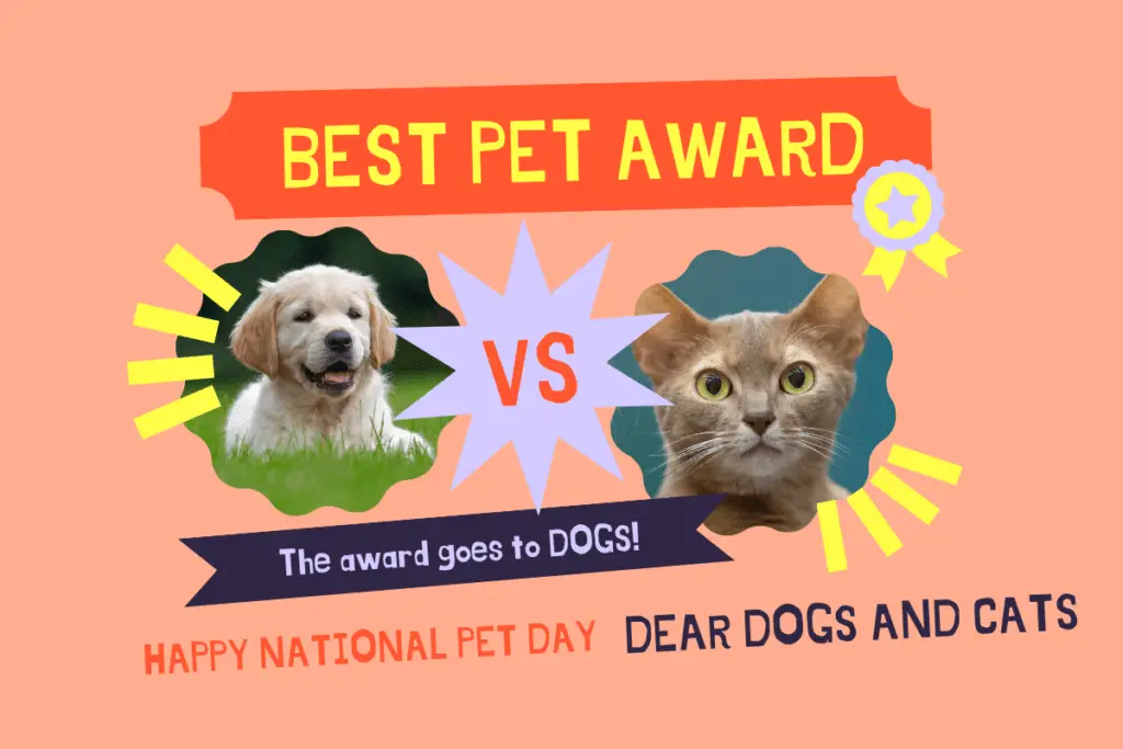 are dogs more preferred than cats