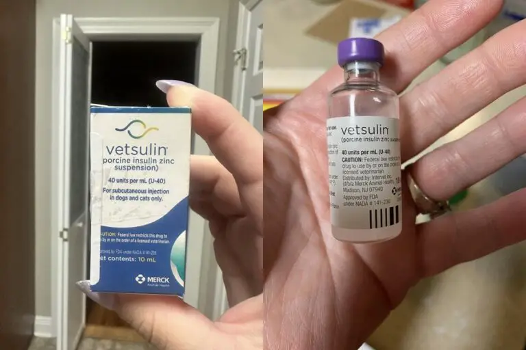 How To Give Your Diabetic Dog Insulin Injections (Vet Explained)