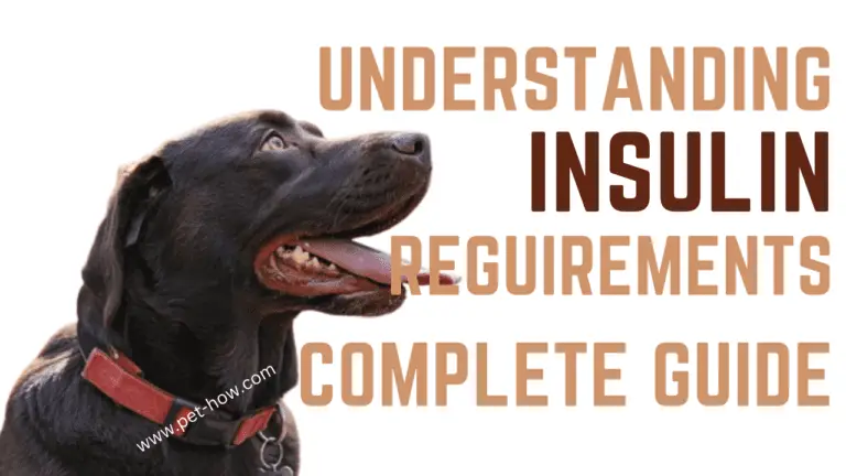 Understanding Your Dog’s Insulin Requirements (A Comprehensive Guide To Canine Diabetes)
