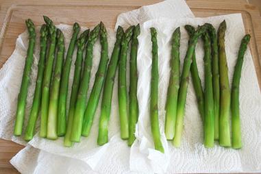 Can Diabetic Dogs Eat Asparagus