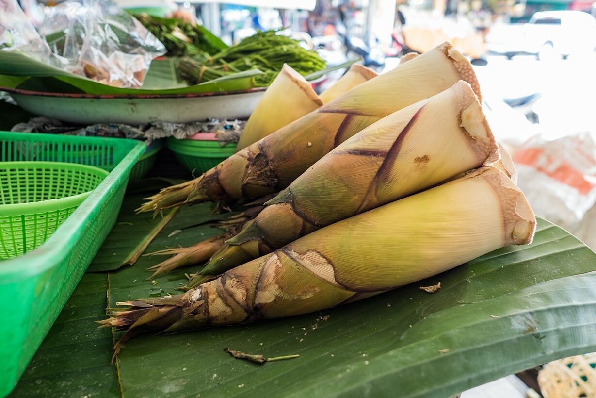 Can Dogs Eat Bamboo Shoots? Bamboo Munchies For Pooches!