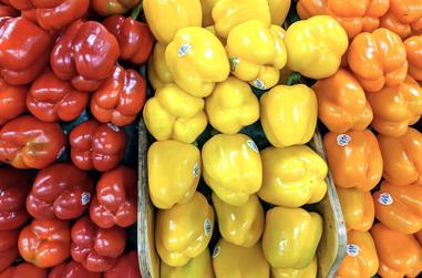 Are Bell Peppers Bad For Dogs To Eat