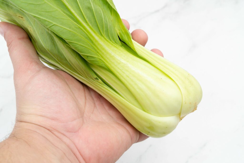 Can Dogs Eat Bok Choy