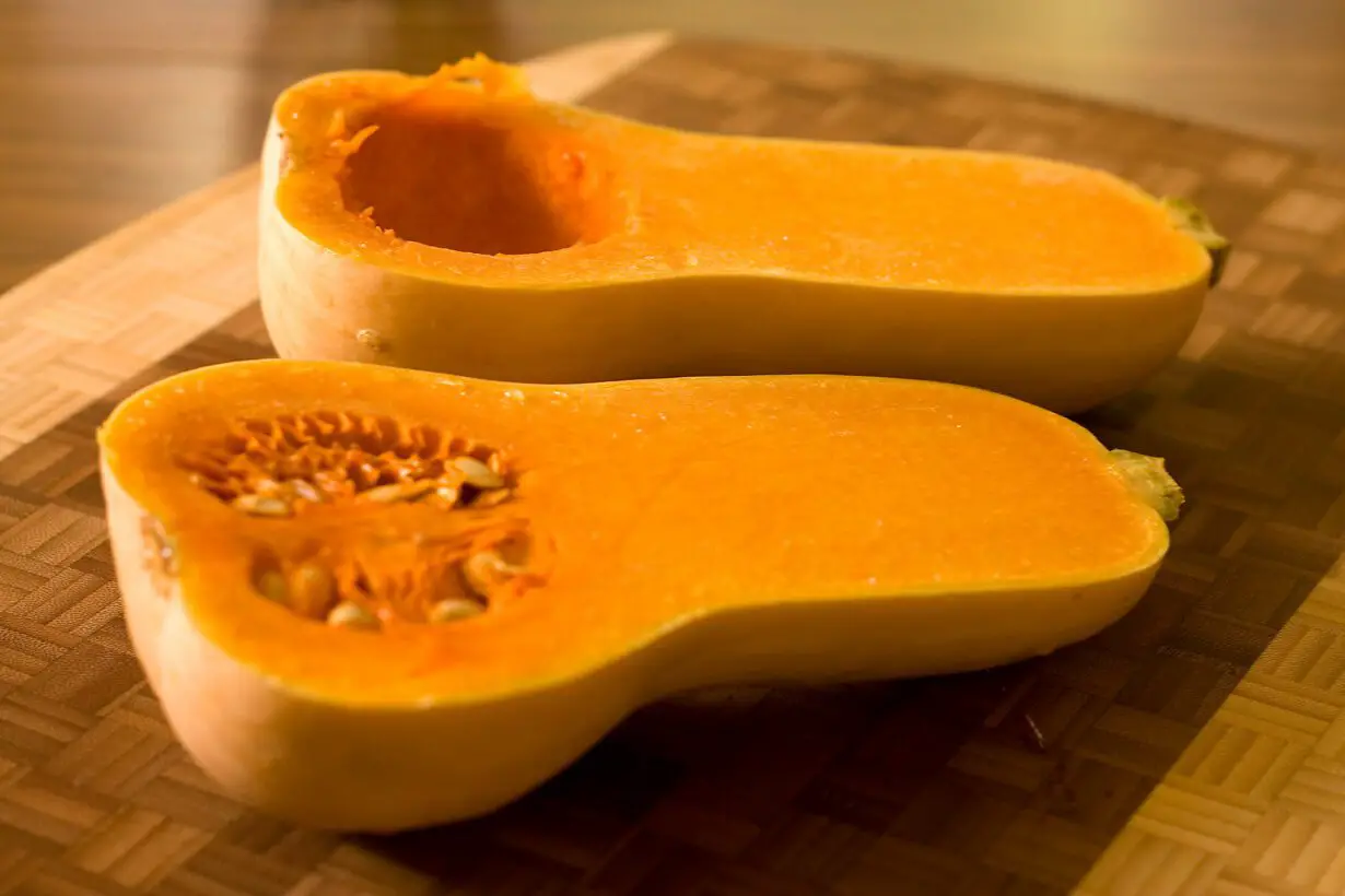 Can Dogs Eat Butternut Squash? Squashing The Myths!