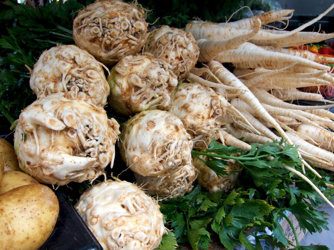 Can Dogs Eat Celeriac? Upgrade Your Dog’s Diet!