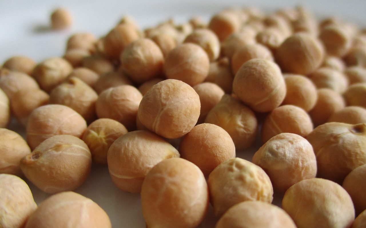 Can Dogs Eat Chickpeas? Let Your Dog Munch On Chickpeas!