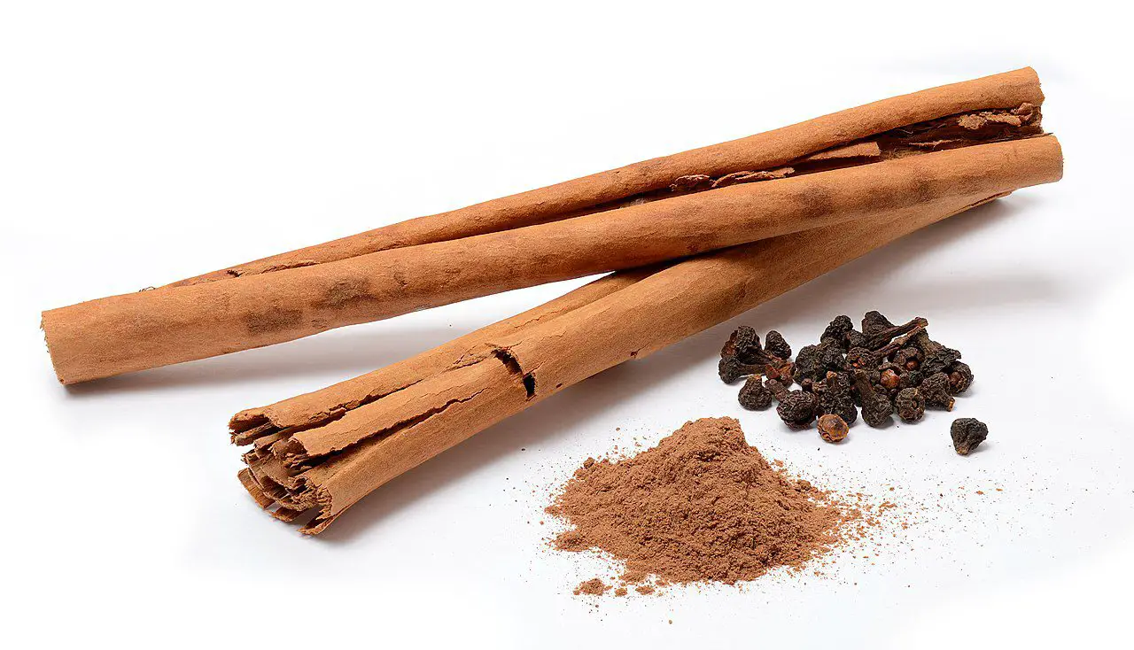 Can Dogs Eat Cinnamon? Explore The Benefits and Risks
