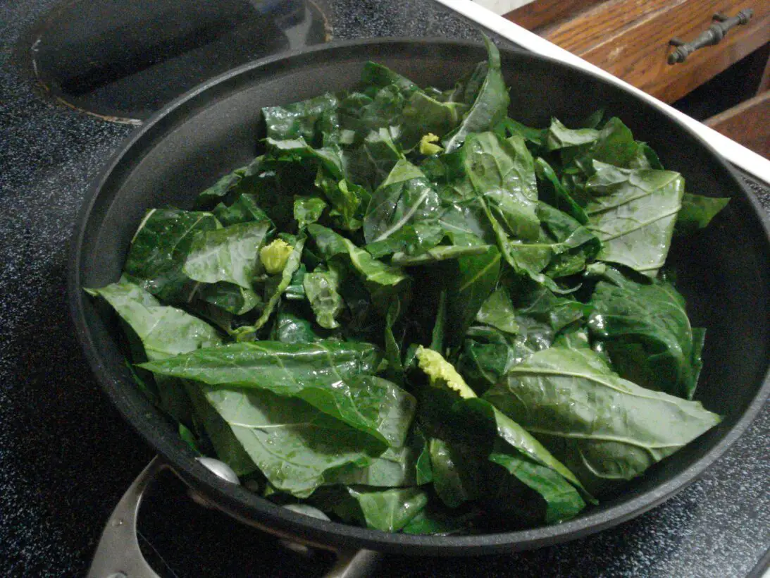 Can Dogs Eat Collard Greens? A Taste of the South!