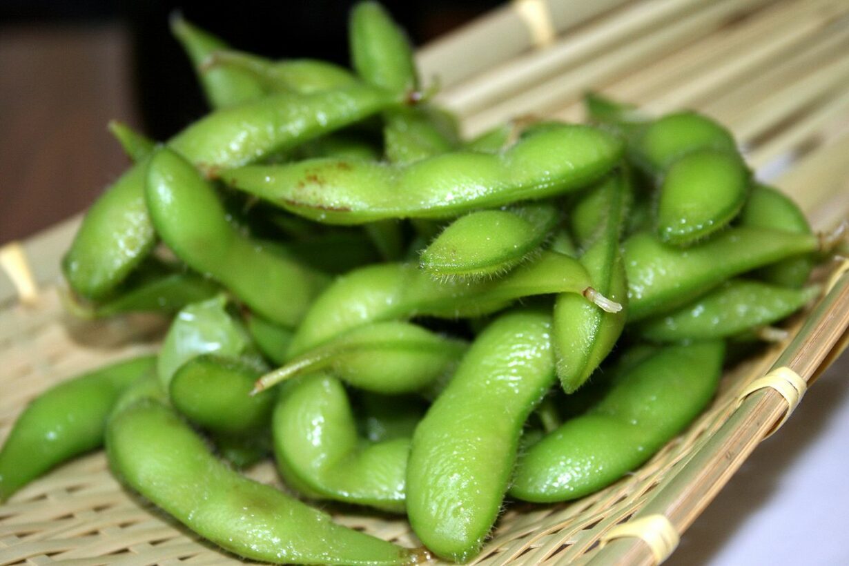 Can Dogs Eat Edamame? Perfect Treat For Your Pooch!
