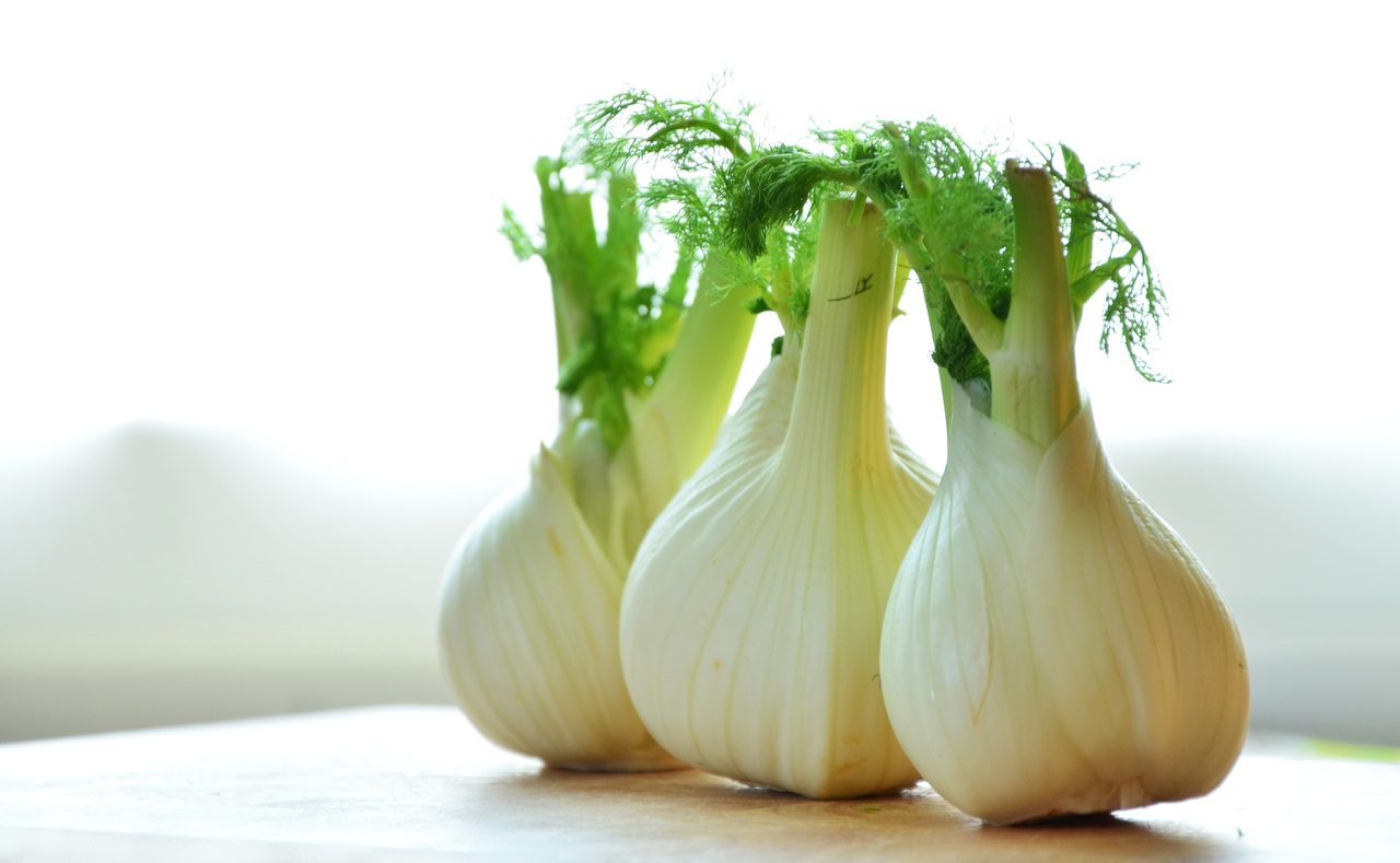 Can Dogs Eat Fennel? Uncovering The Benefits and Risks of Fennel