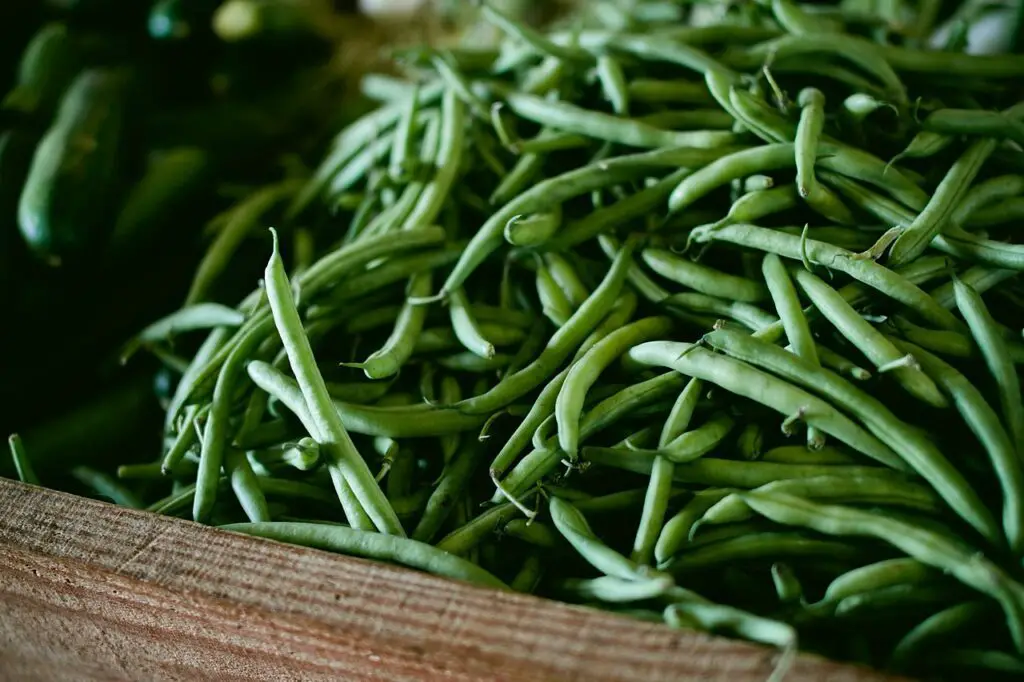 green beans for dogs benefits