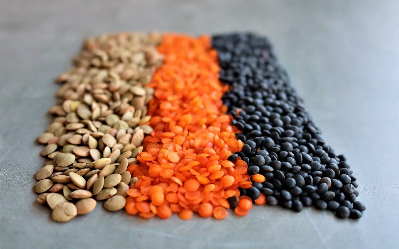 Can Dogs Eat Lentils? A Dog’s New Favorite Superfood!