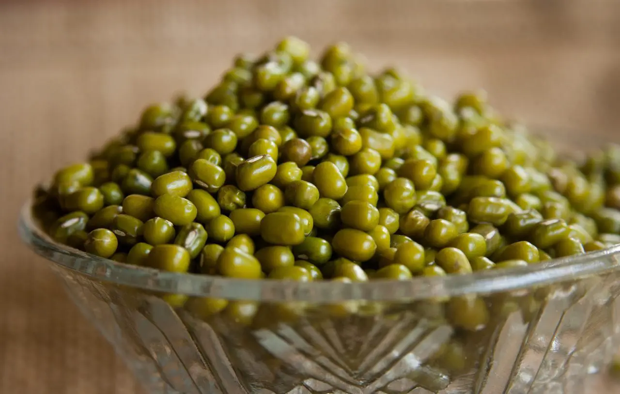 Can Dogs Eat Mung Beans? To Bean or Not to Bean!