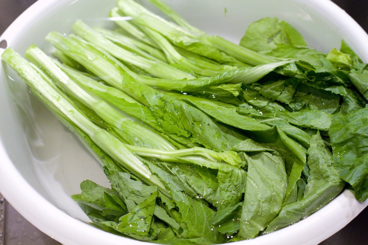 Can Dogs Eat Mustard Greens? Explore The Benefits of Mustard Greens!