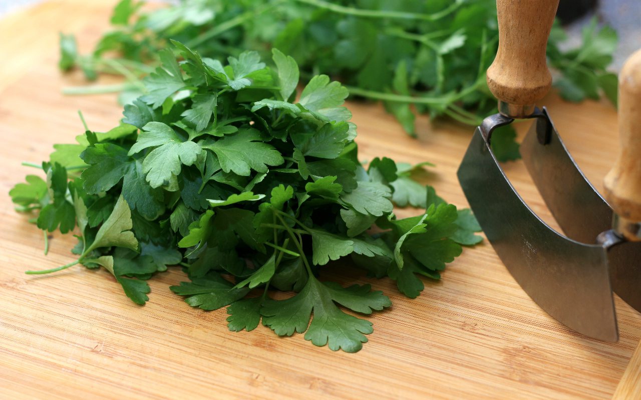 PetFriendly Seasonings Can Dogs Eat Parsley?