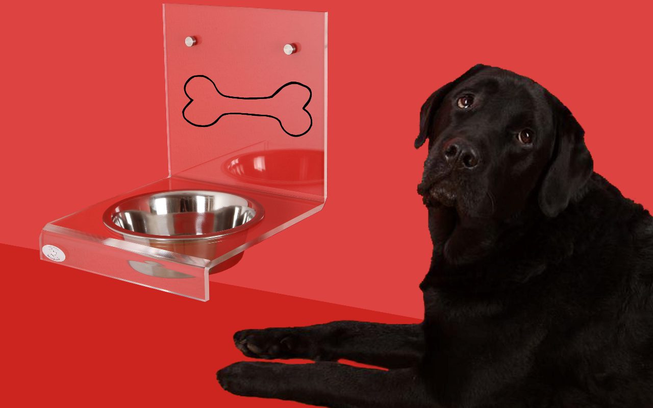 Pet-Friendly Seasonings: Can Dogs Eat Parsley?