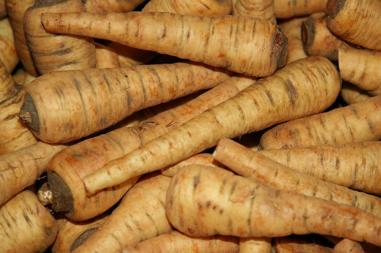 Can Dogs Eat Parsnips? Can Dogs Enjoy This Sweet Veggie Treat?
