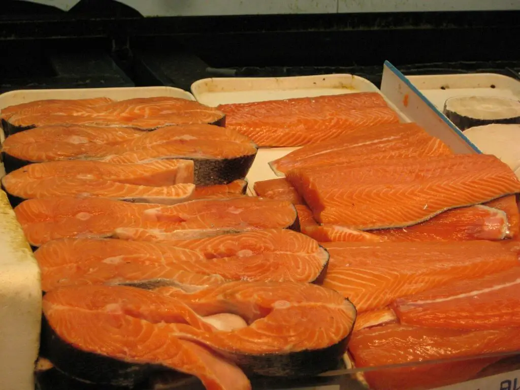 Can Dogs Eat Raw or Cooked Salmon