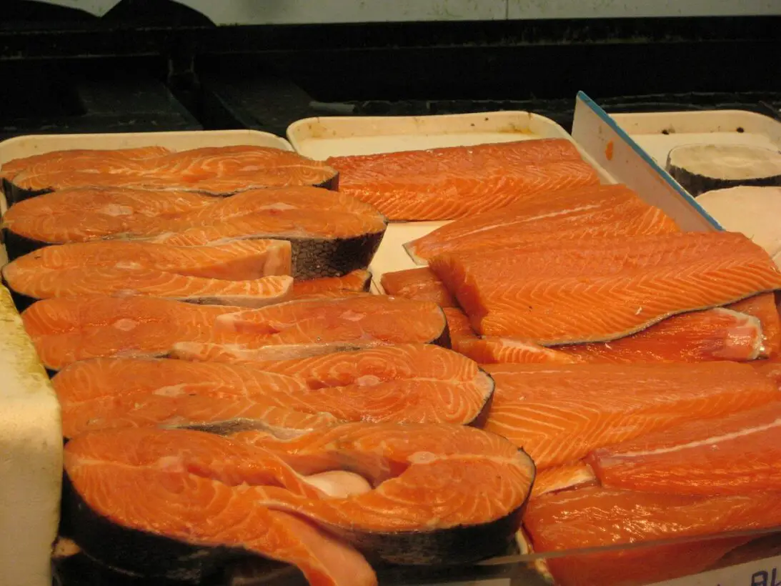 Can Dogs Eat Raw or Cooked Salmon?
