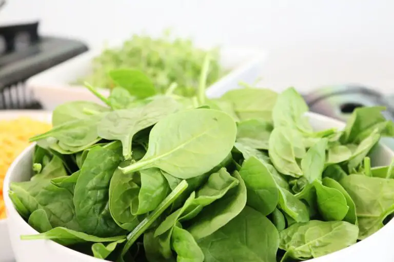 Can Dogs Eat Cooked Spinach? Unlocking The Secret of Spinach For Dogs!