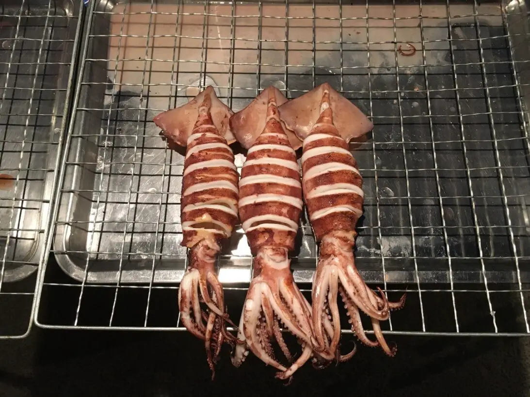 Can Dogs Eat Squid? Squid-tastic Addition To Your Dog’s Diet