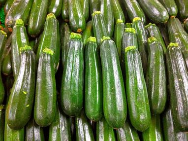 Are Zucchini And Yellow Squash Safe For Dogs