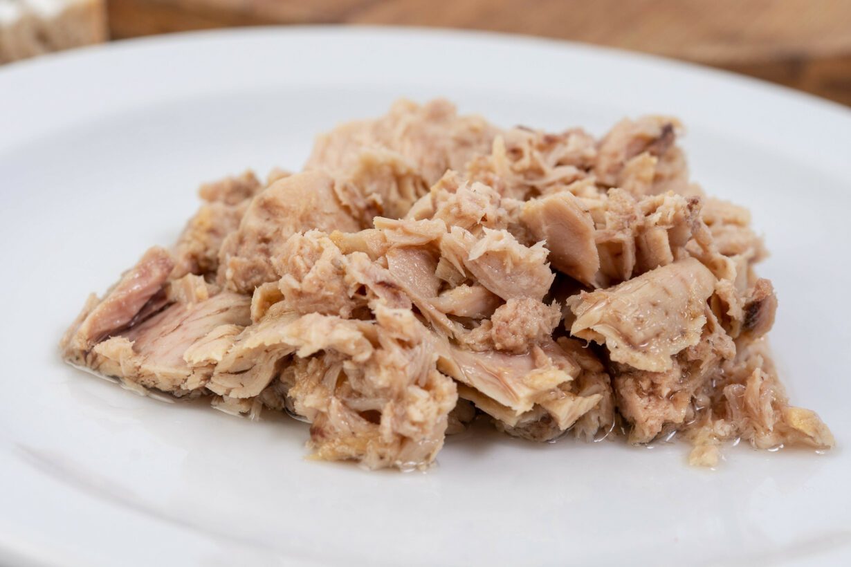 Can Dogs Eat Tuna? From The Sea To The Bowl