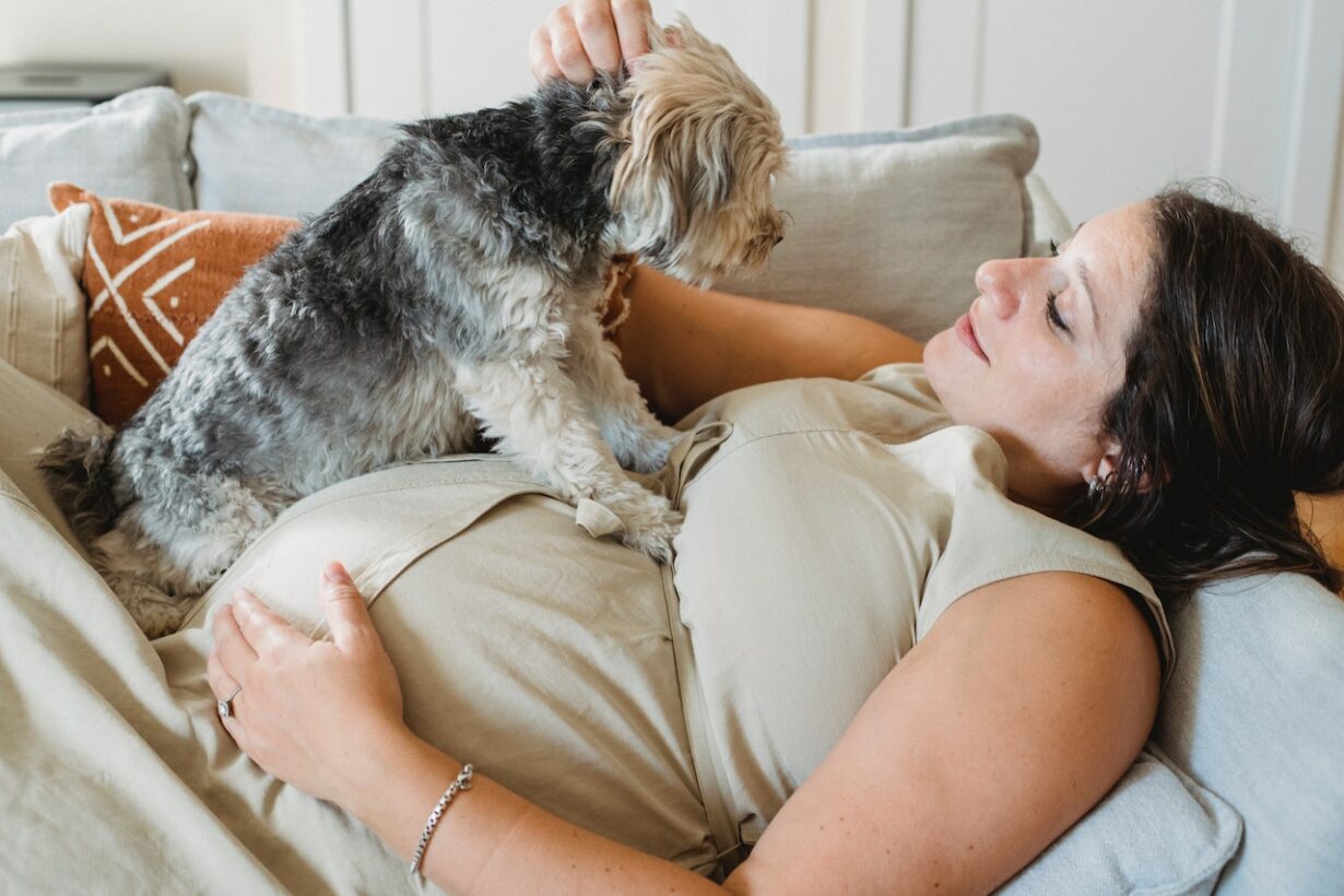 Do Dogs Know When You Are Pregnant