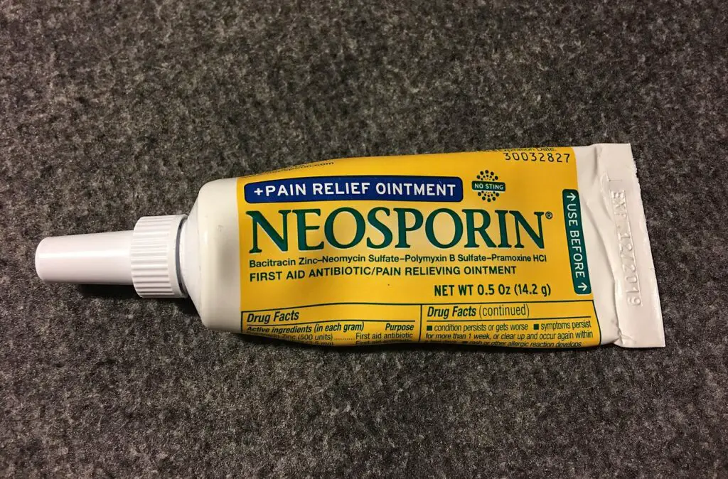 Can You Use Neosporin On a Dog