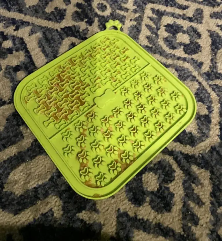 Is Licking Mentally Stimulating For Dogs?