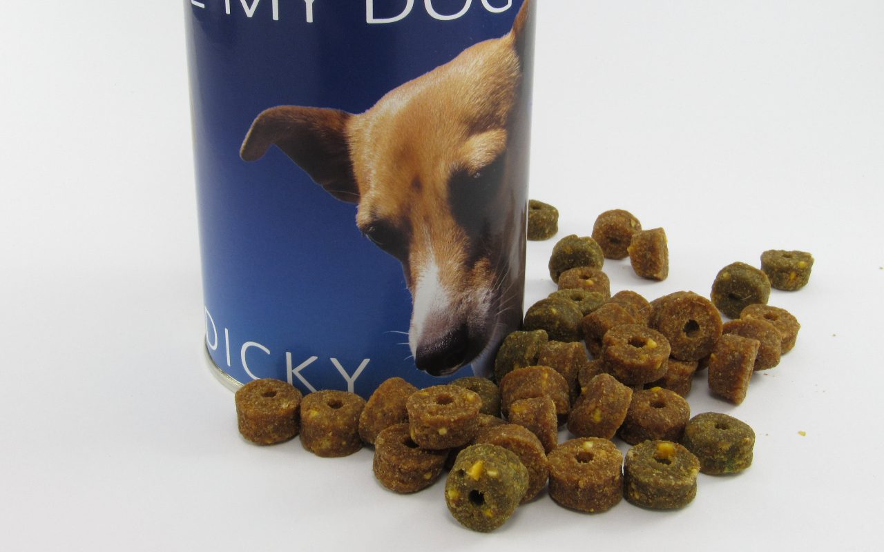 At What Age Can Puppies Have Kibble Feeding Guide & Tips