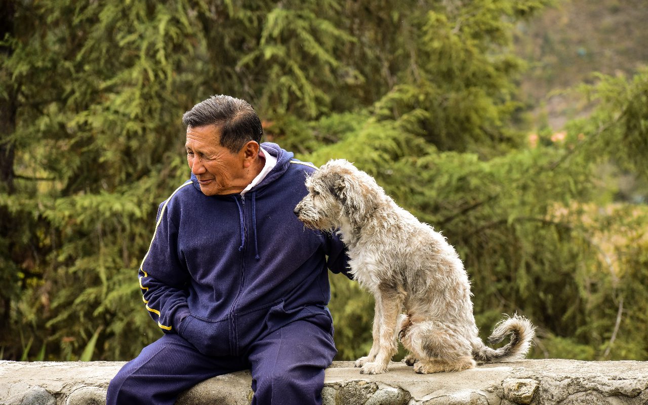 At What Age Do Male Dogs Become Infertile? Find Out Now!