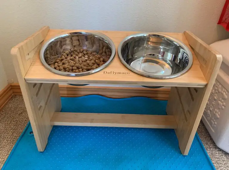 11 Benefits Of a Tilted Dog Bowl