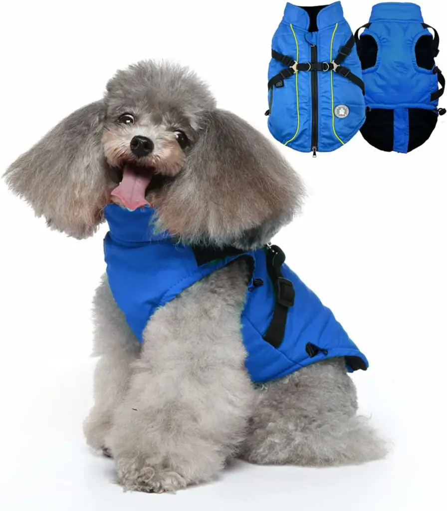 Best Heated Jackets For Dogs
